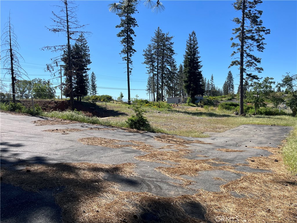 a view of a yard with a tree