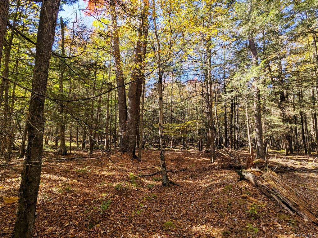 a view of outdoor space with trees