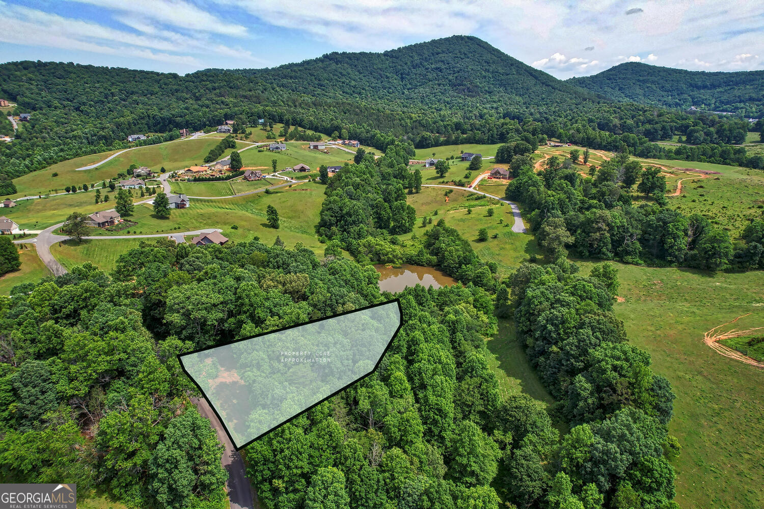 an aerial view of green landscape with trees houses and mountain view