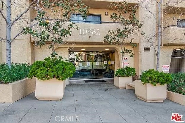 a view of a building with potted plants