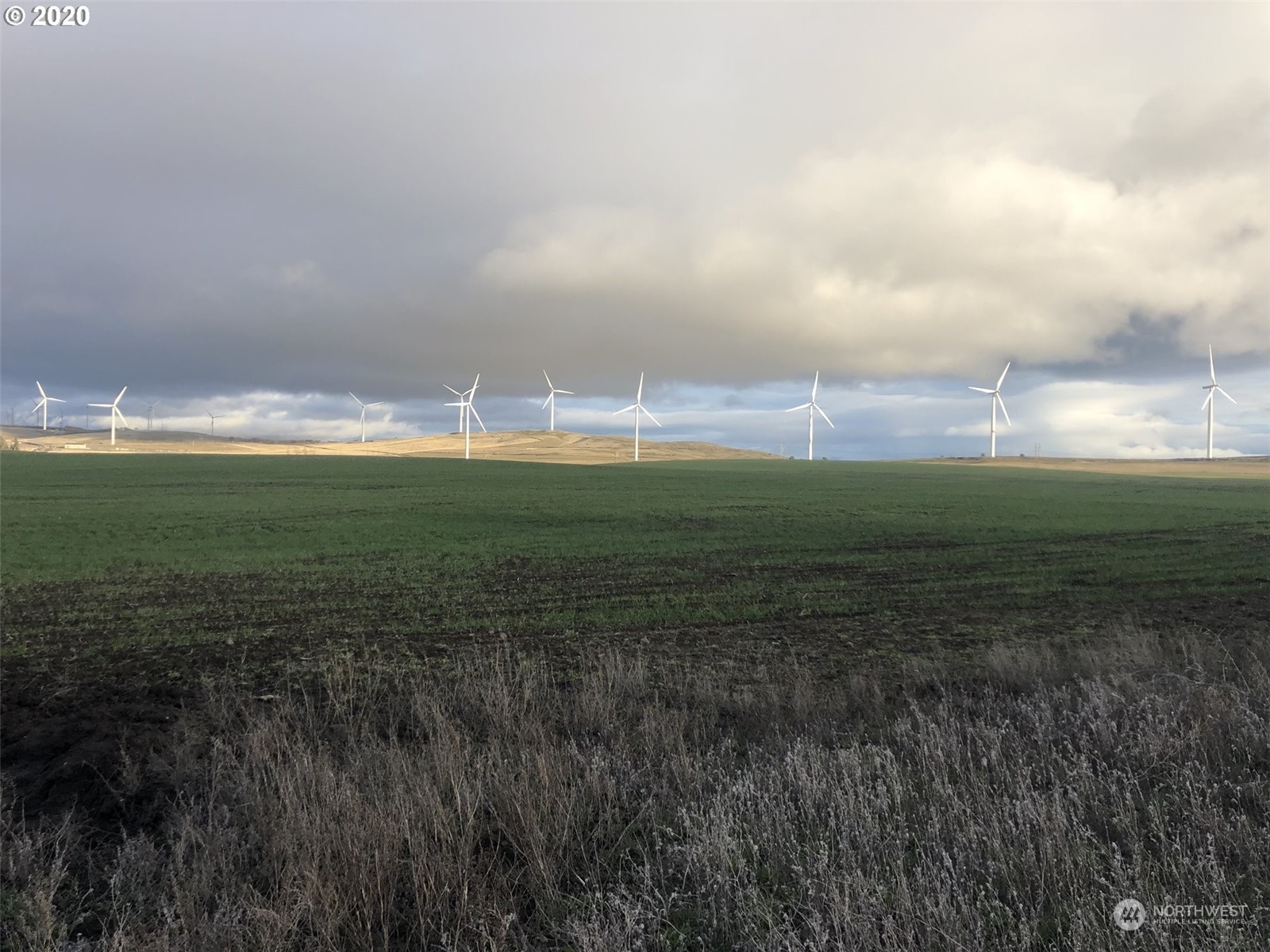 a view of a green field