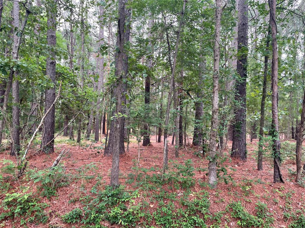 a view of outdoor space with lots of trees