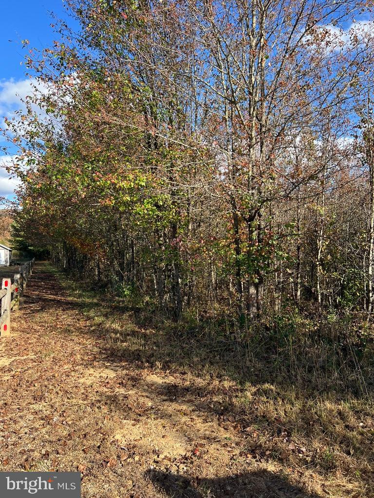 a view of a yard with a tree