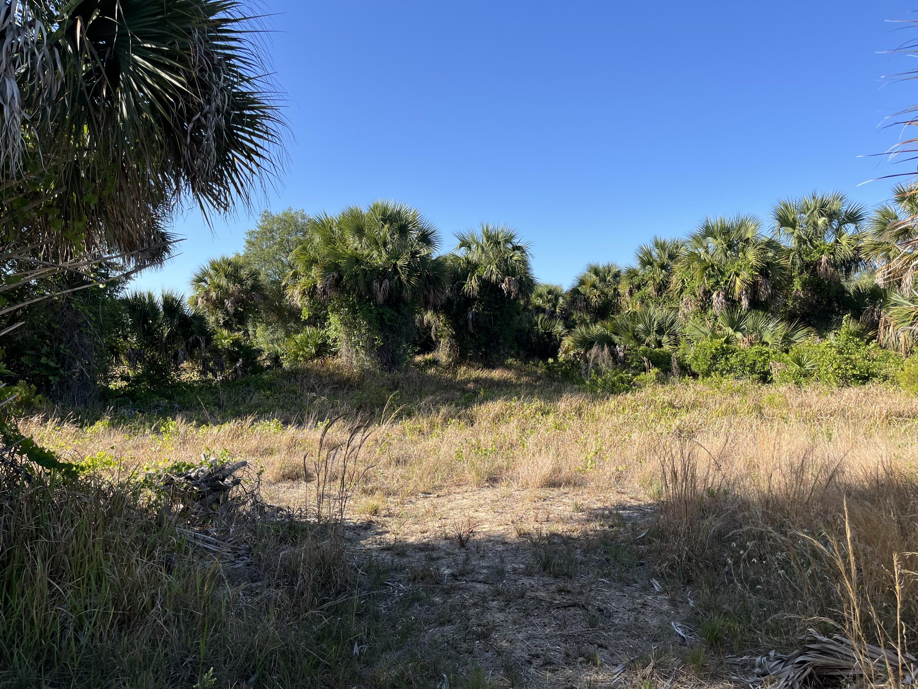 a view of a lake from a yard