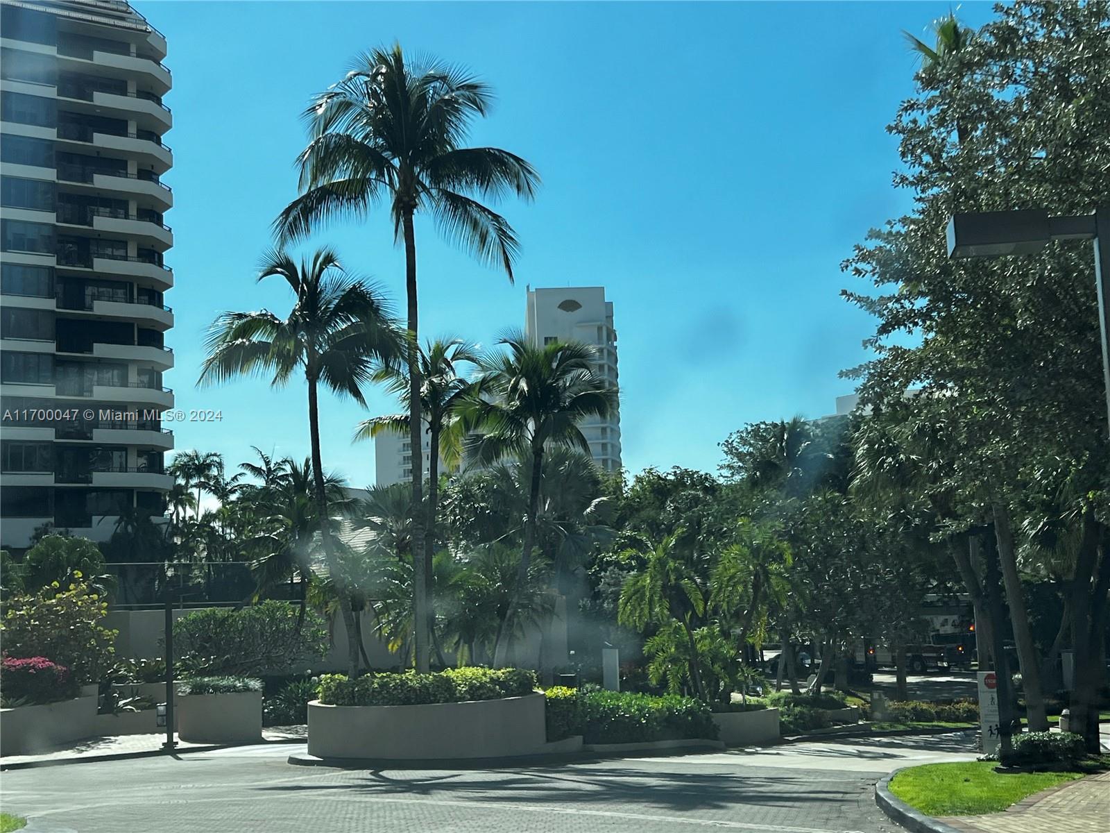 a view of a yard and palm trees