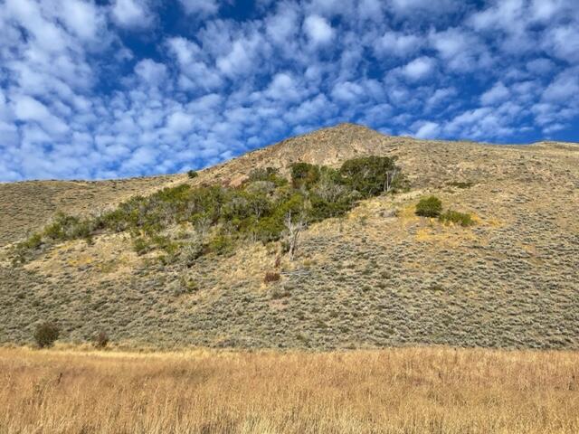 Cowcatcher Ridge