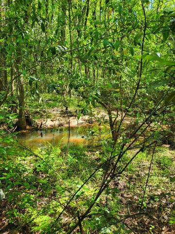 $55,500 | 800 Florida Line Road