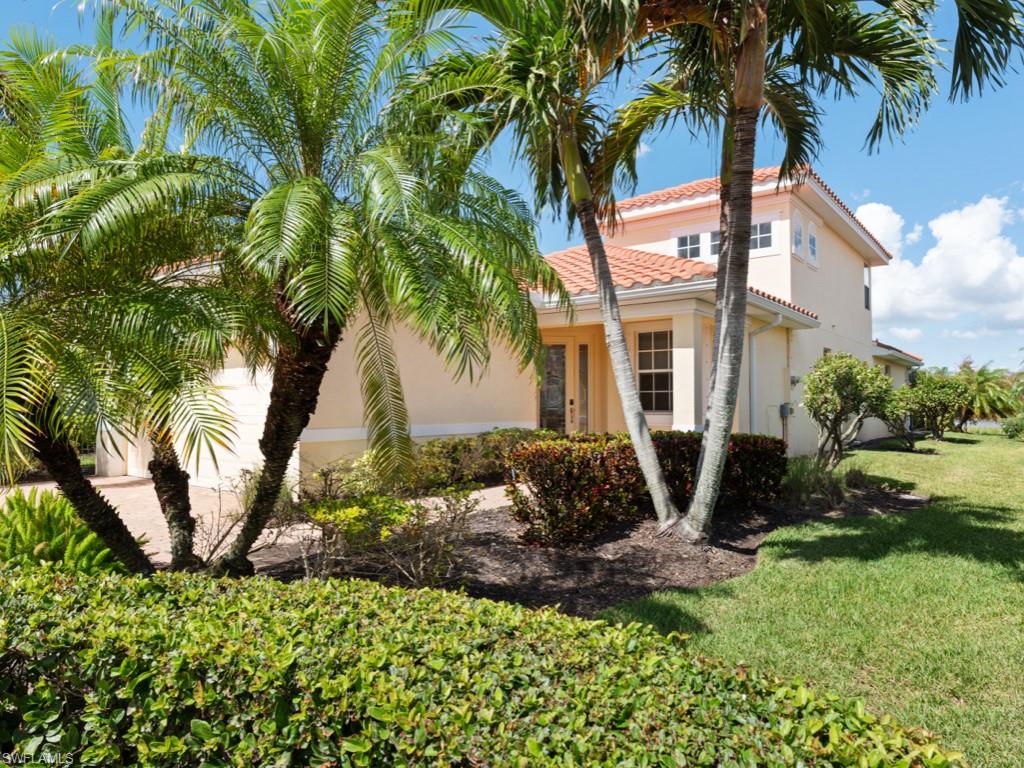 a view of a backyard with plants and a large tree