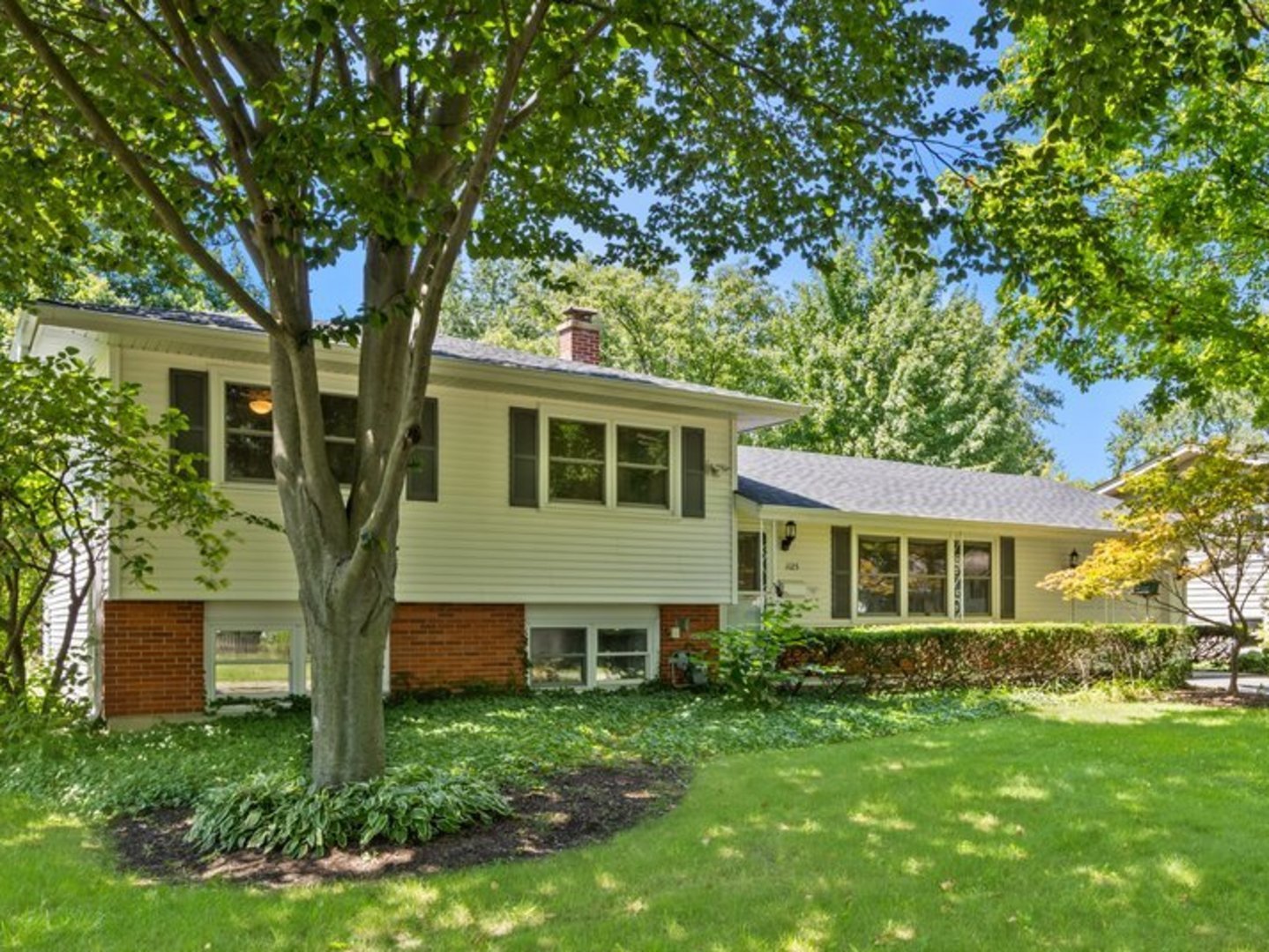 a house that has tree in front of a house