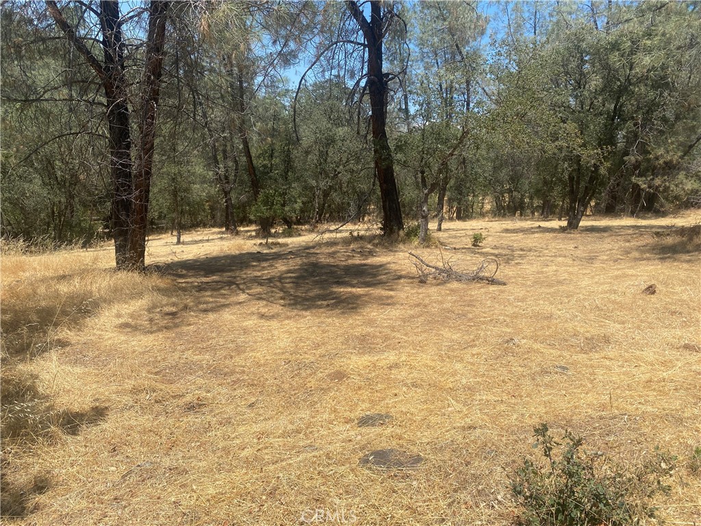 a view of a yard with trees