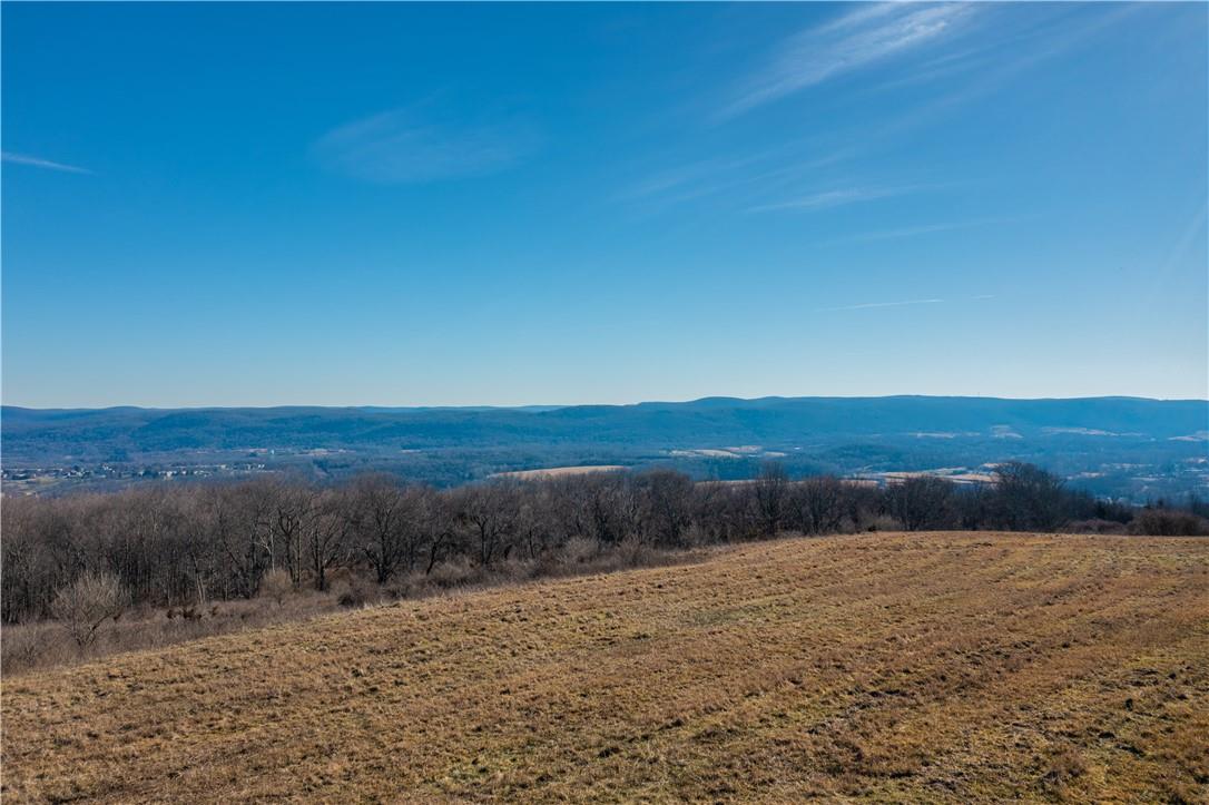 Nestled in the heart of natural beauty, this extraordinary property offers over 440 acres of pristine land in the municipality of Washington with breathtaking views across the Harlem Valley.