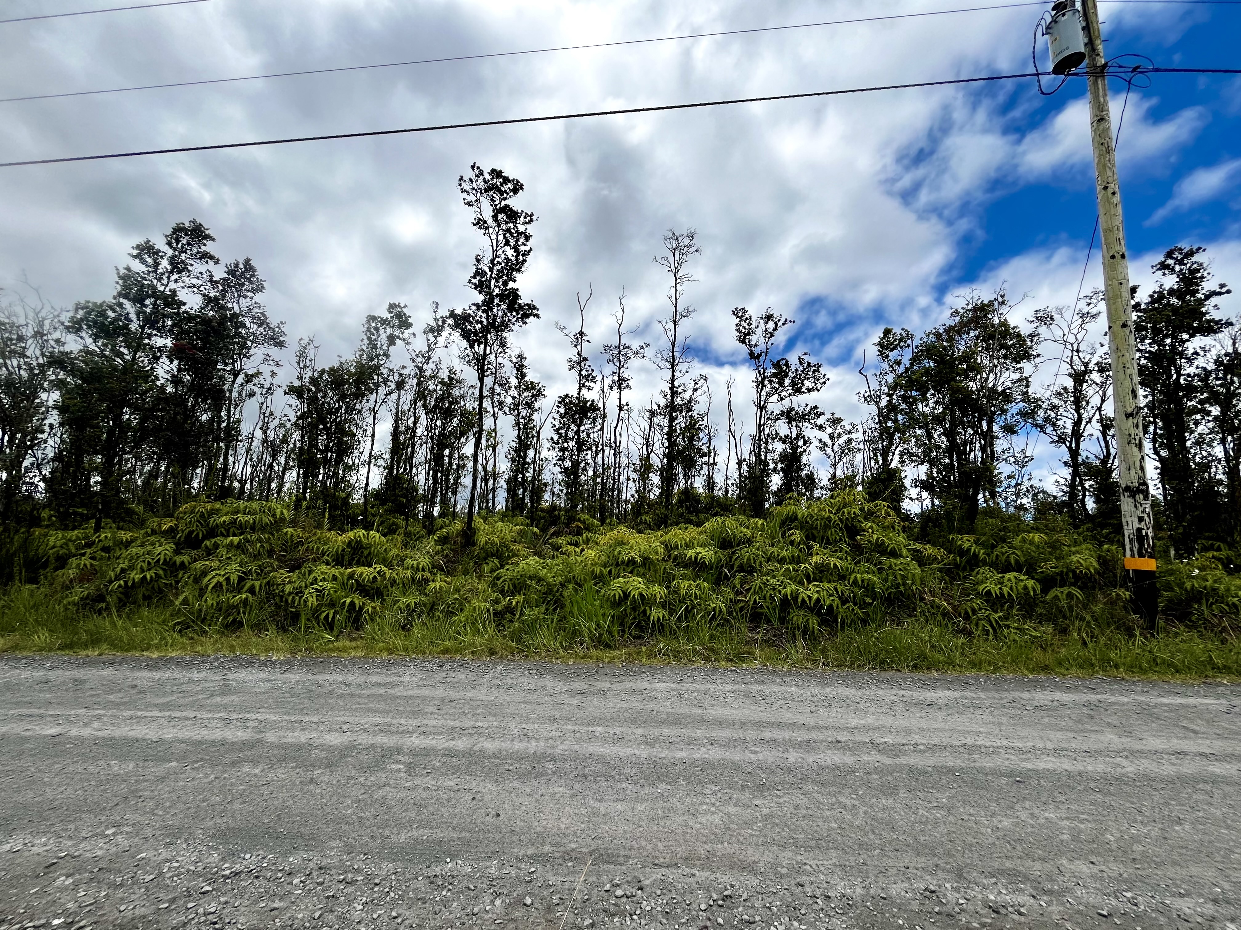 Lot #31 ~ Fern Forest Vacation Estates