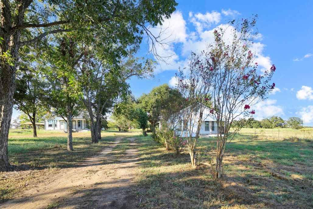 a view of a yard with a tree