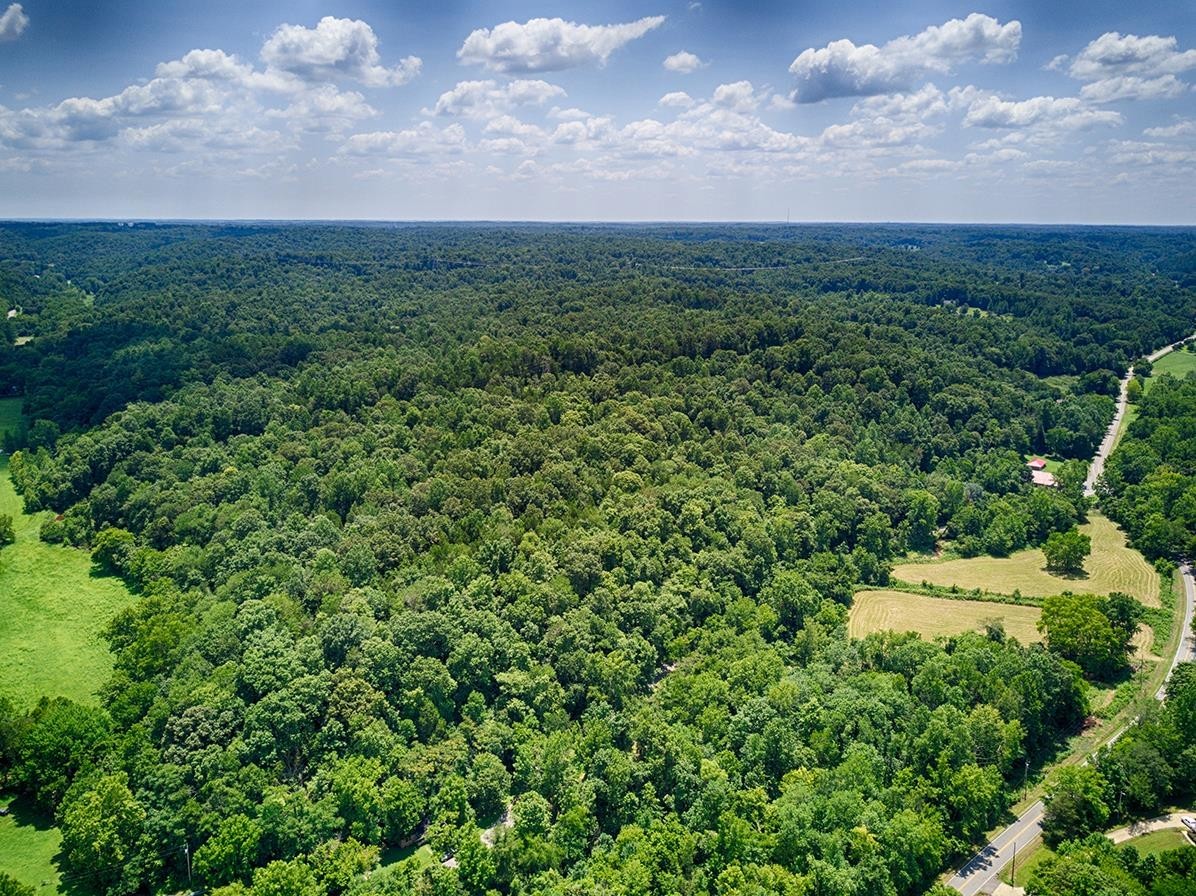 a view of a bunch of trees