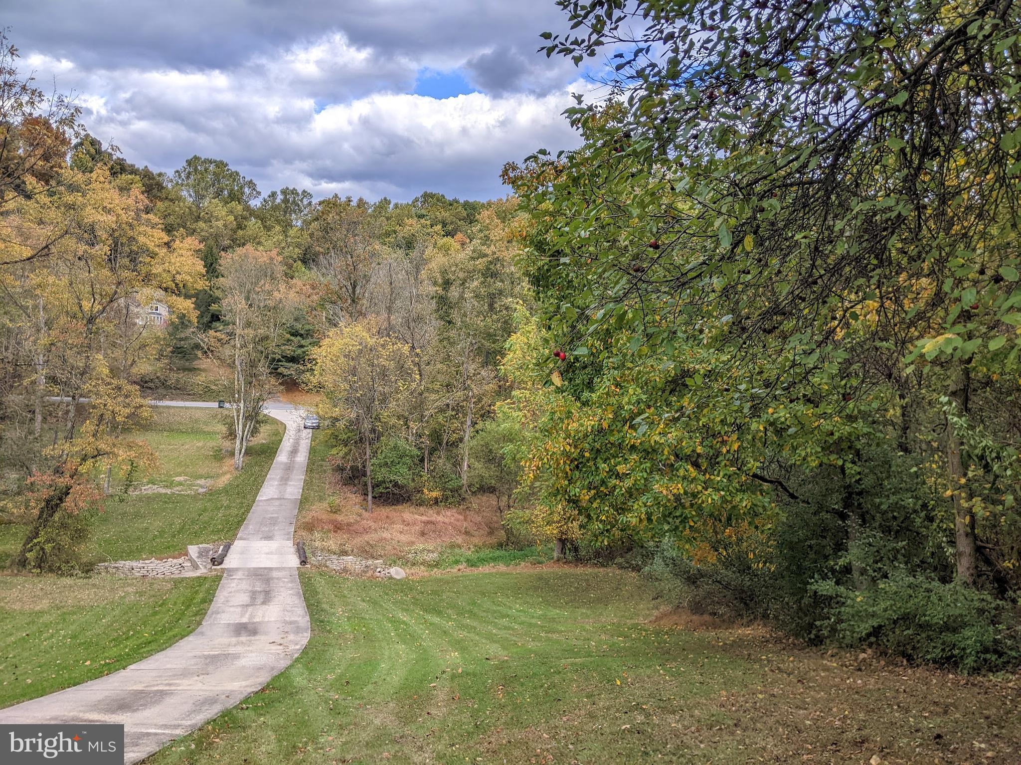 a view of a pathway with a yard