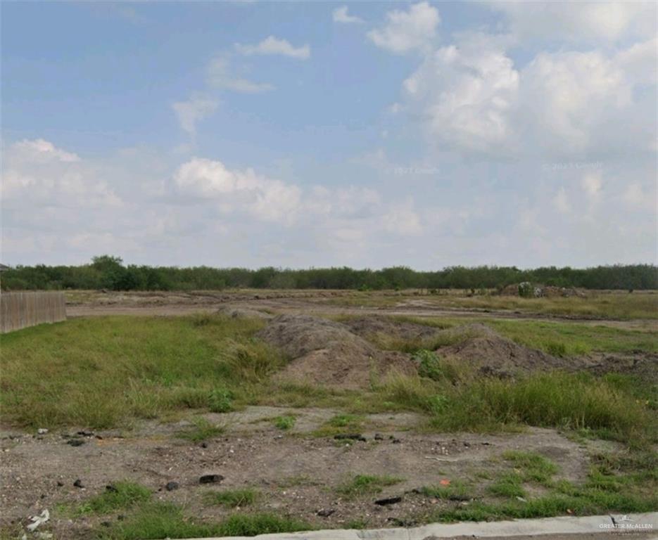 View of local wilderness featuring a rural view