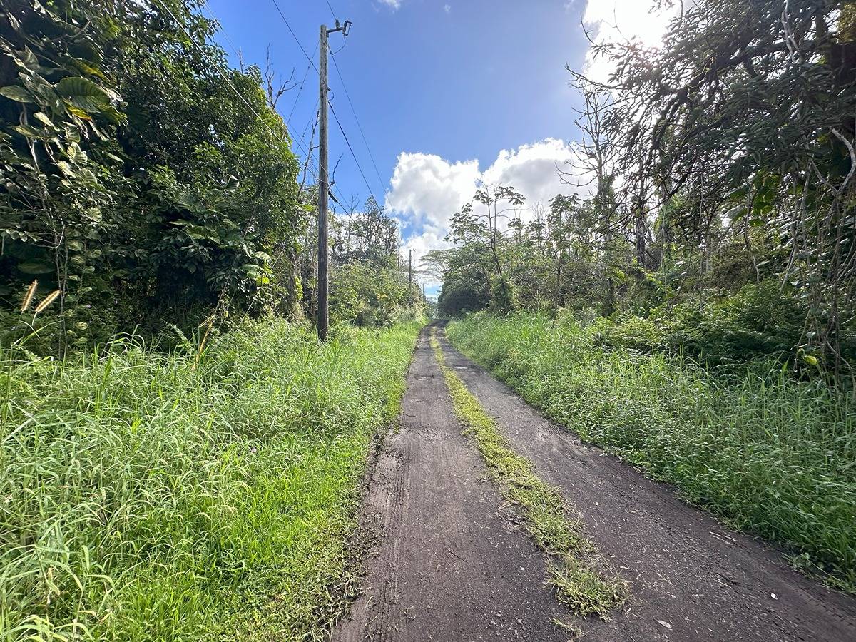 a view of a pathway both side of yard