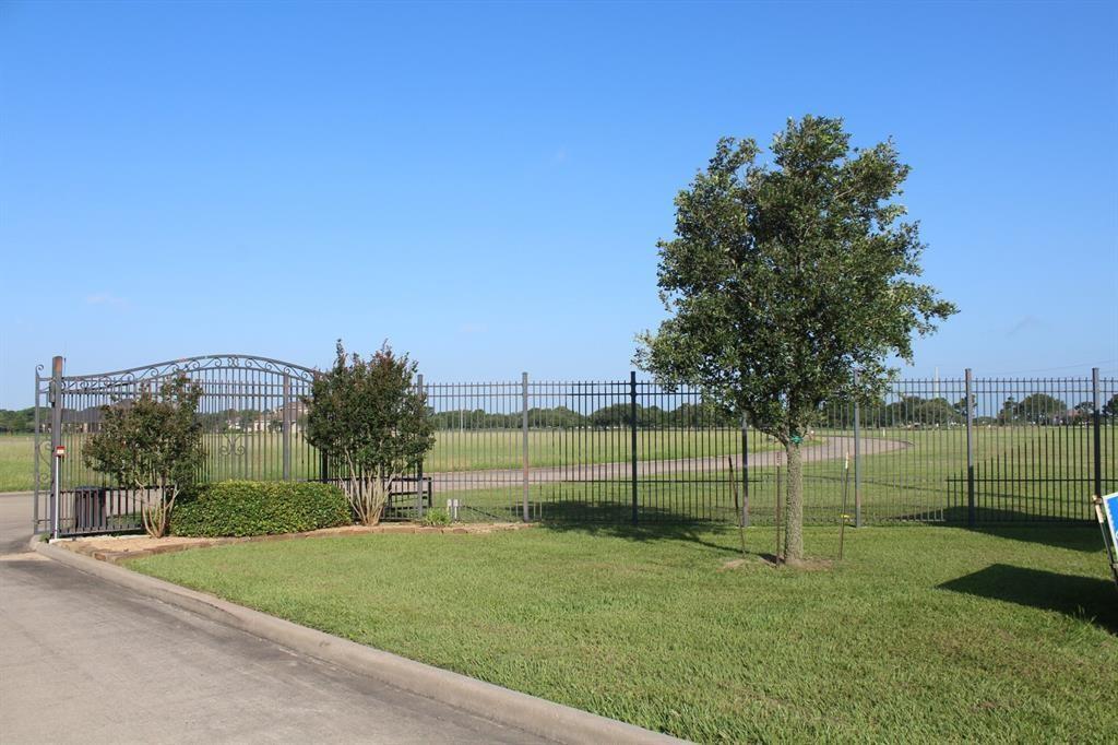 a view of a park with a large tree