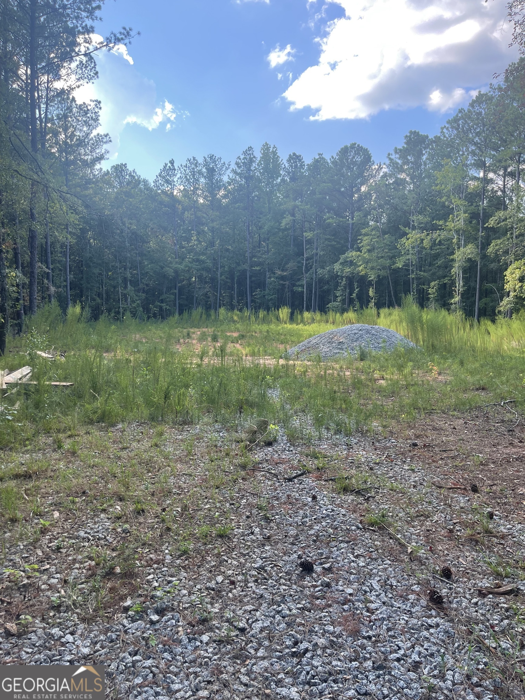 a view of outdoor space with green field and trees