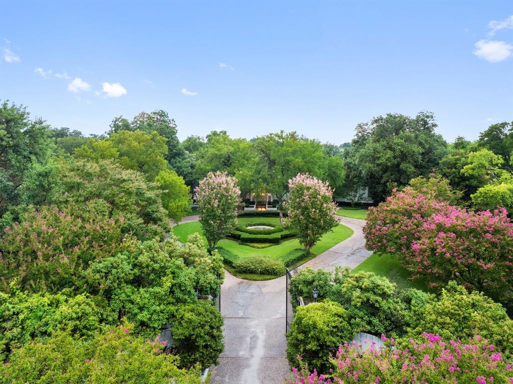 a view of a garden with plants and large trees