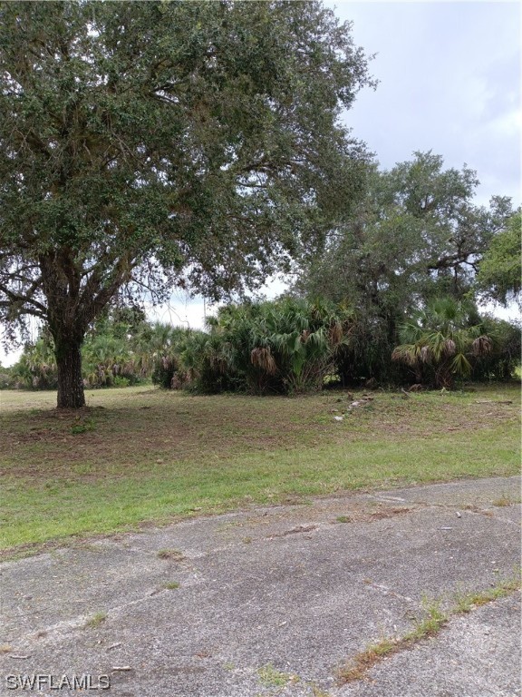 a view of a field with trees