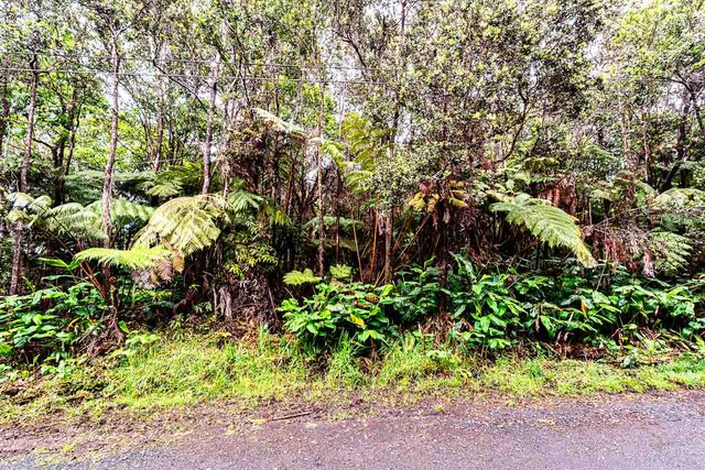 $70,000 | Lot 118 Road C Volcano Hi 96785 | Volcano Cymbidium Acres