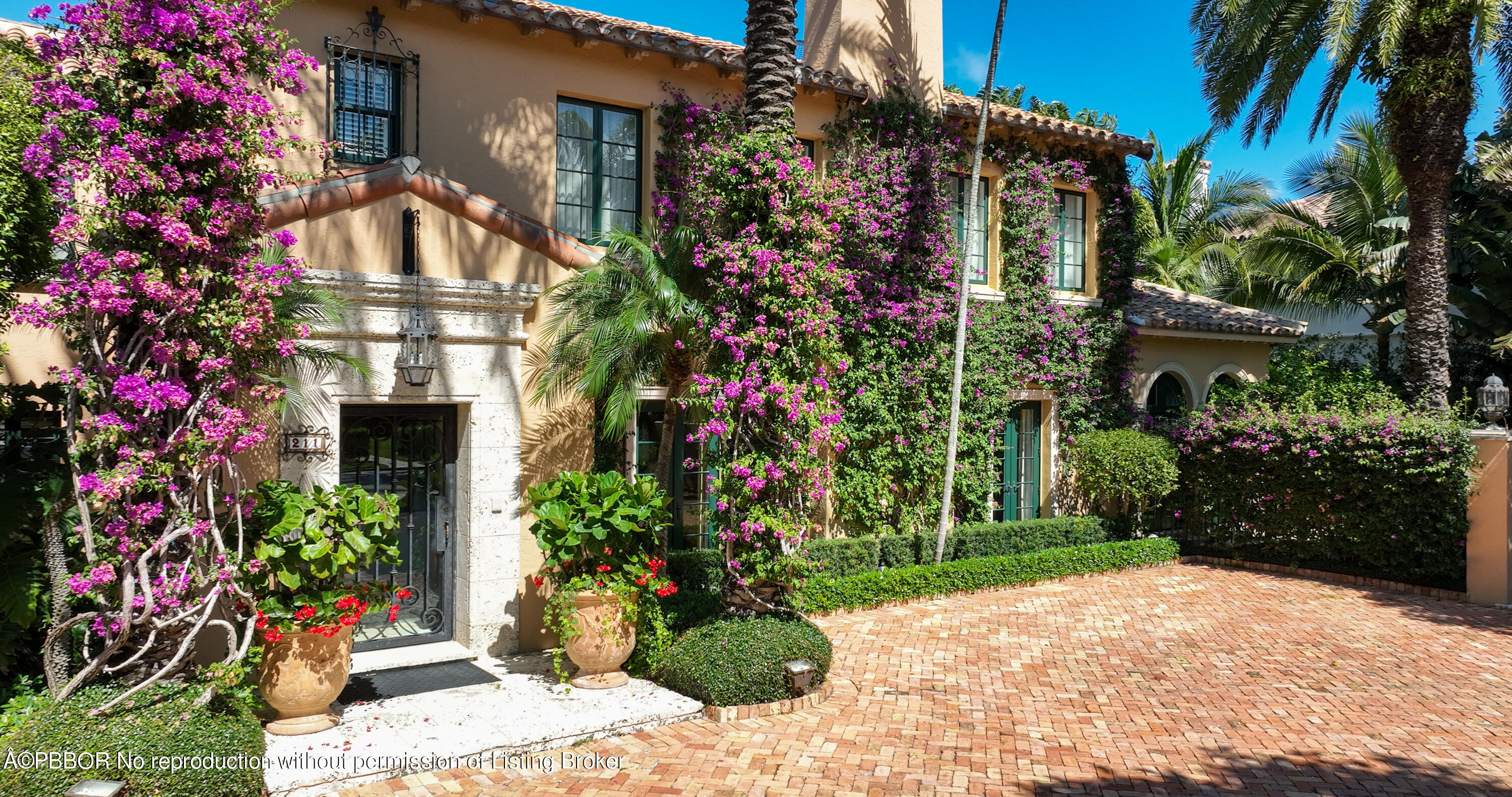 a plant that is in front of a house