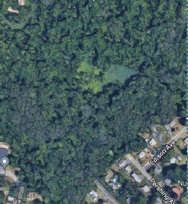 a view of a city with lush green forest