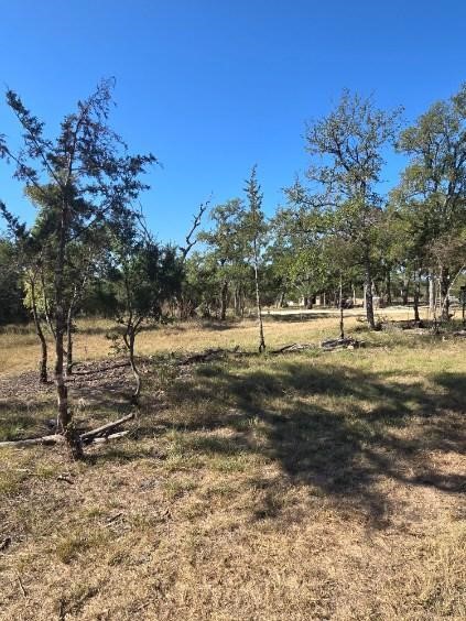 a view of a yard with a tree