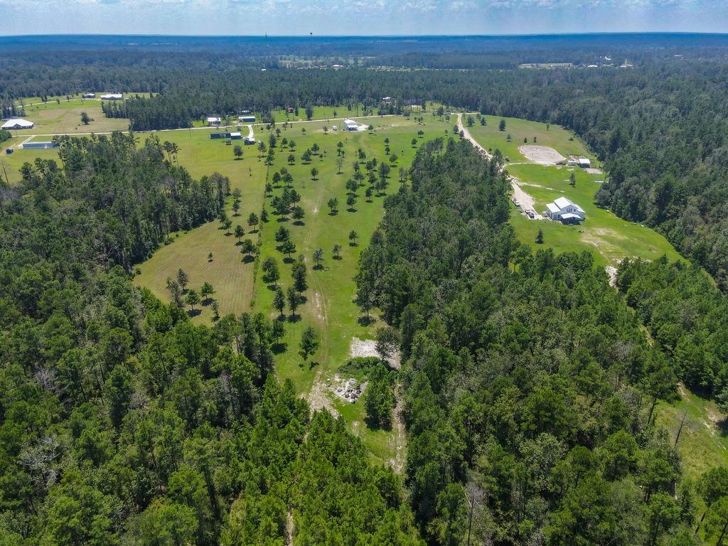 a view of a yard