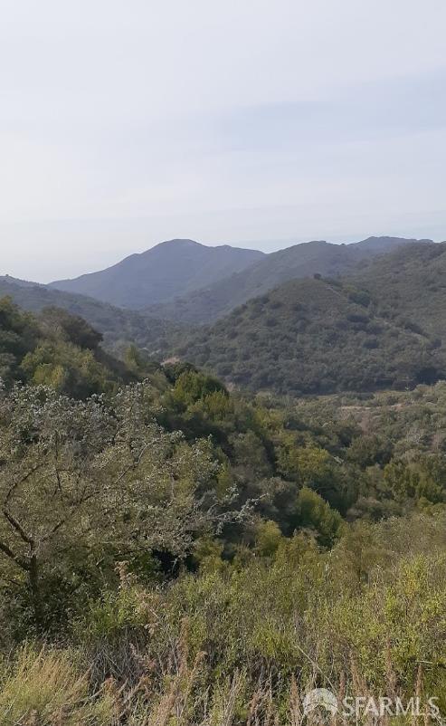 a view of a forest with mountains in the background