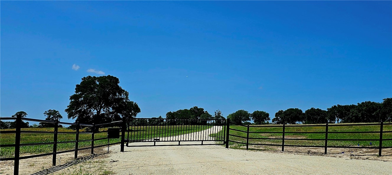 a view of a yard