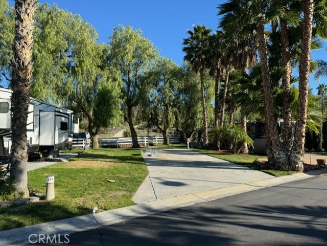 a view of a park with large trees