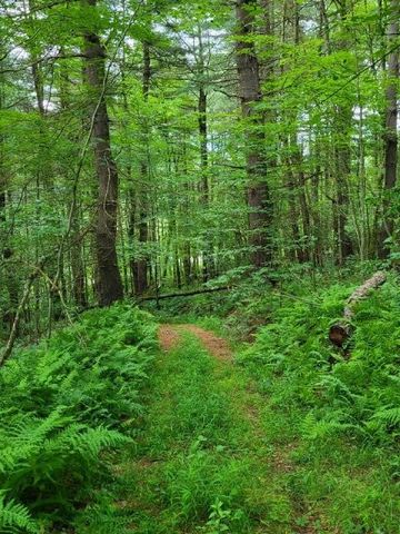 $155,000 | 0 Trout Brook Road | Roulette Township - Potter County