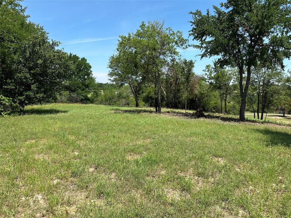 a view of a green field with trees in the background