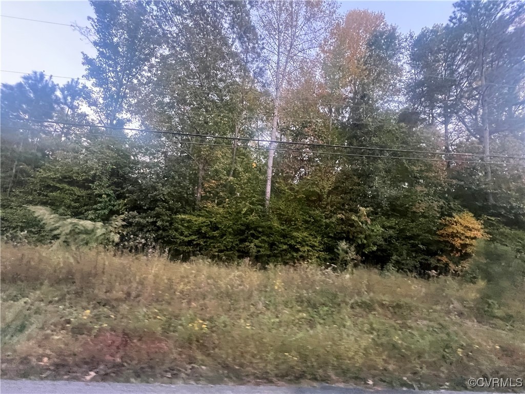 a view of a yard with large trees