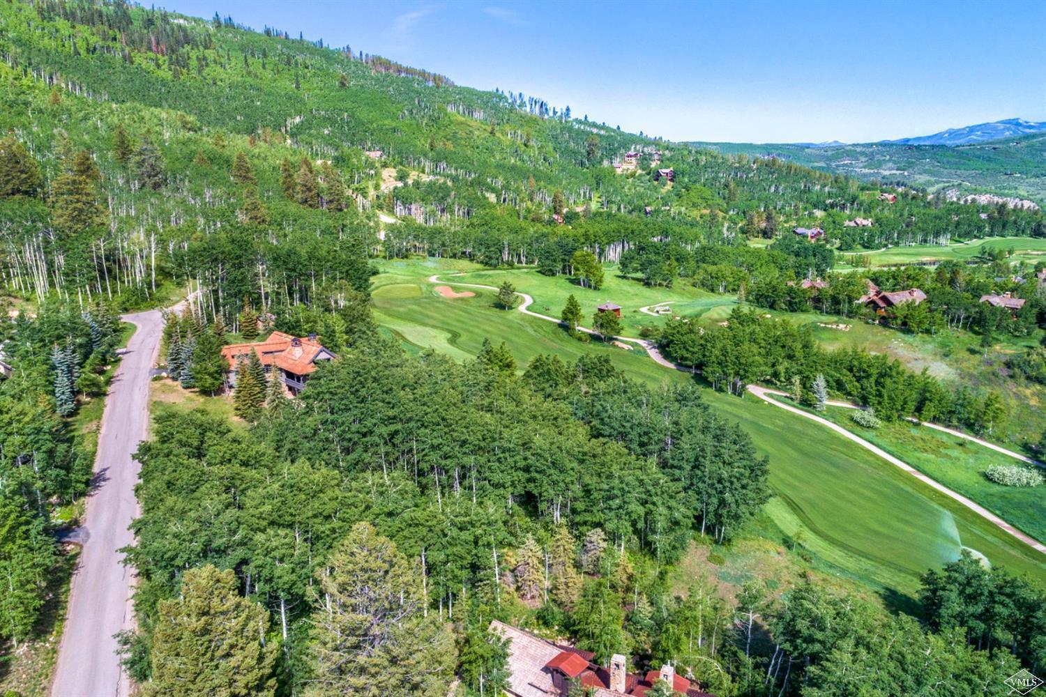 an aerial view of residential houses with outdoor space and trees