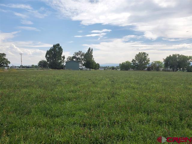 a view of a field with grass and trees