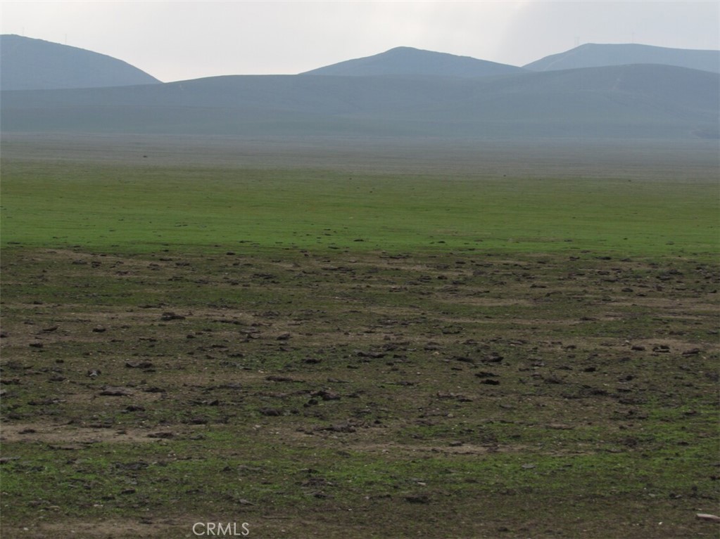 a view of a field with an ocean