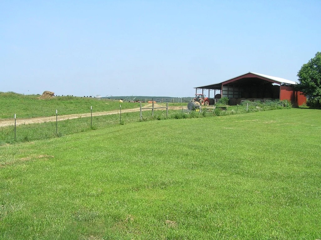 a view of an outdoor space and a yard