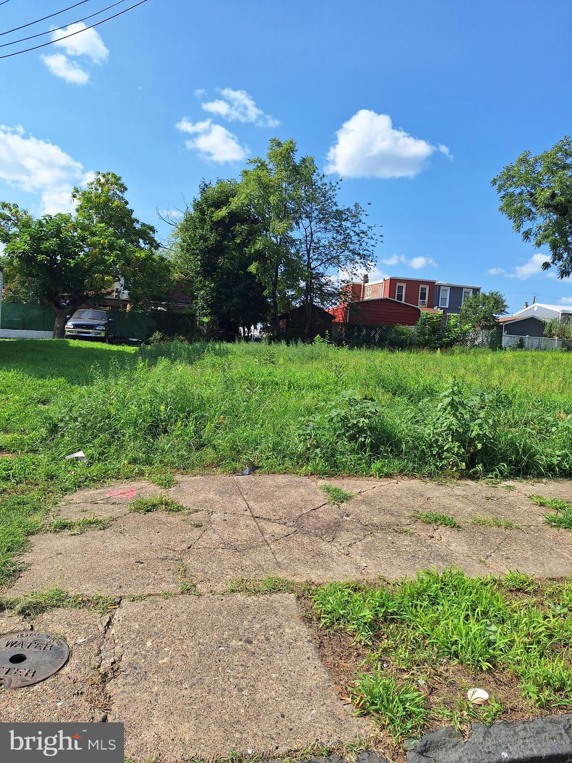 a view of a pathway both side of grassy field with trees