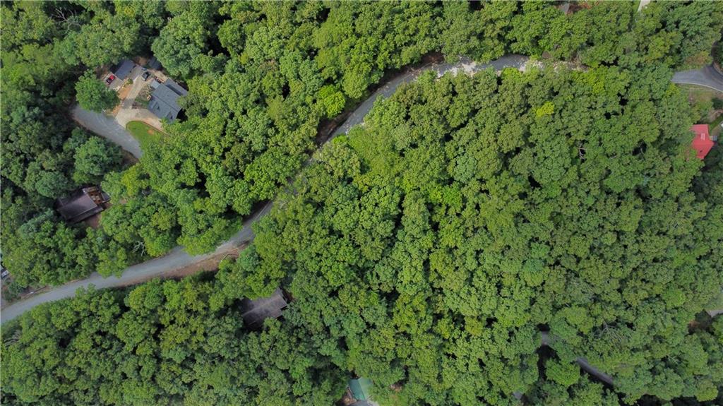 a view of a lush green forest with a park