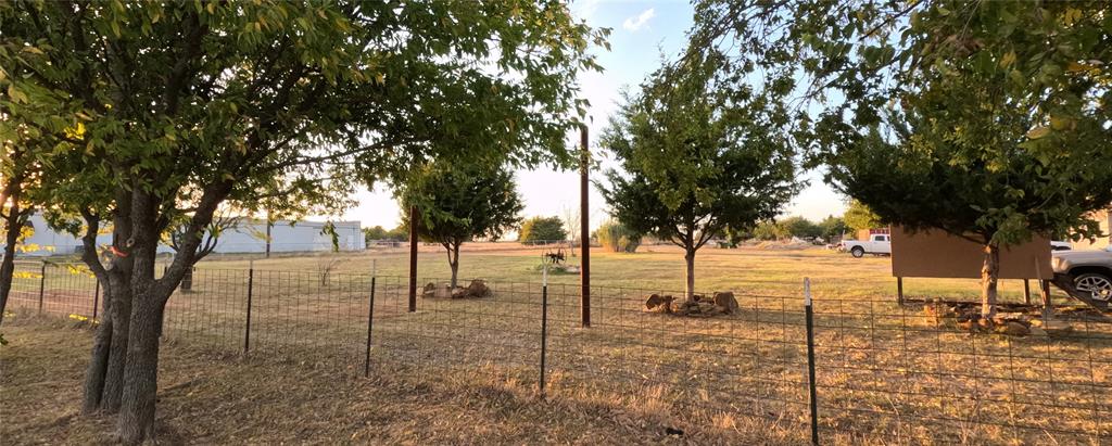 a view of a yard with trees