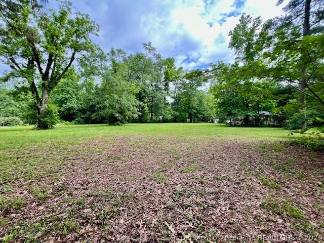 a view of a grassy field with trees in the background