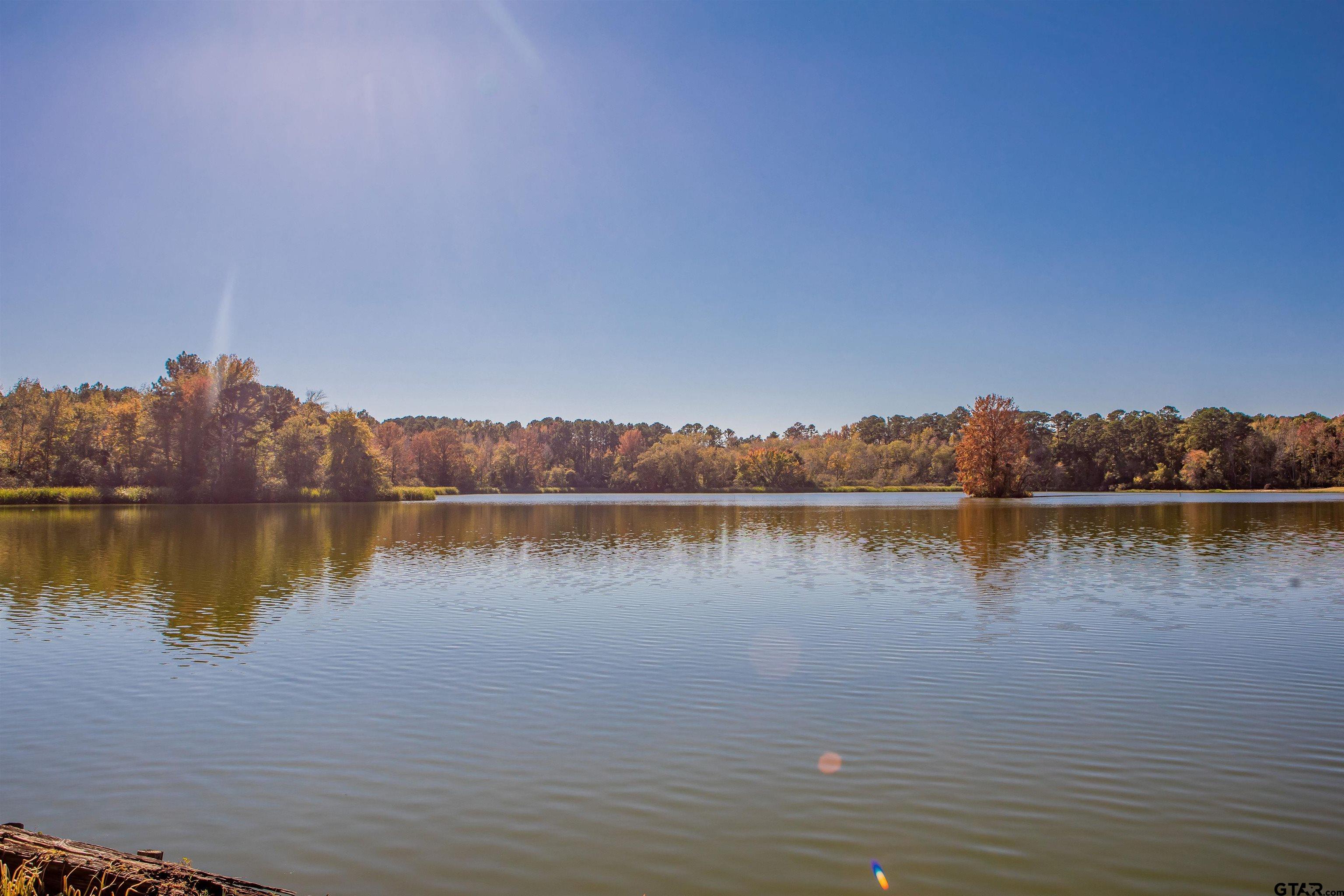 a view of a lake