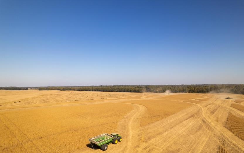 Bird's eye view with a rural view