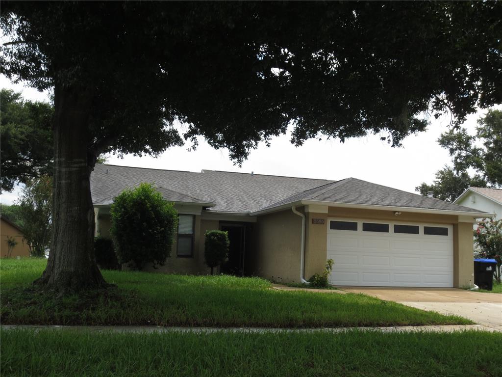 a view of a yard in front of house