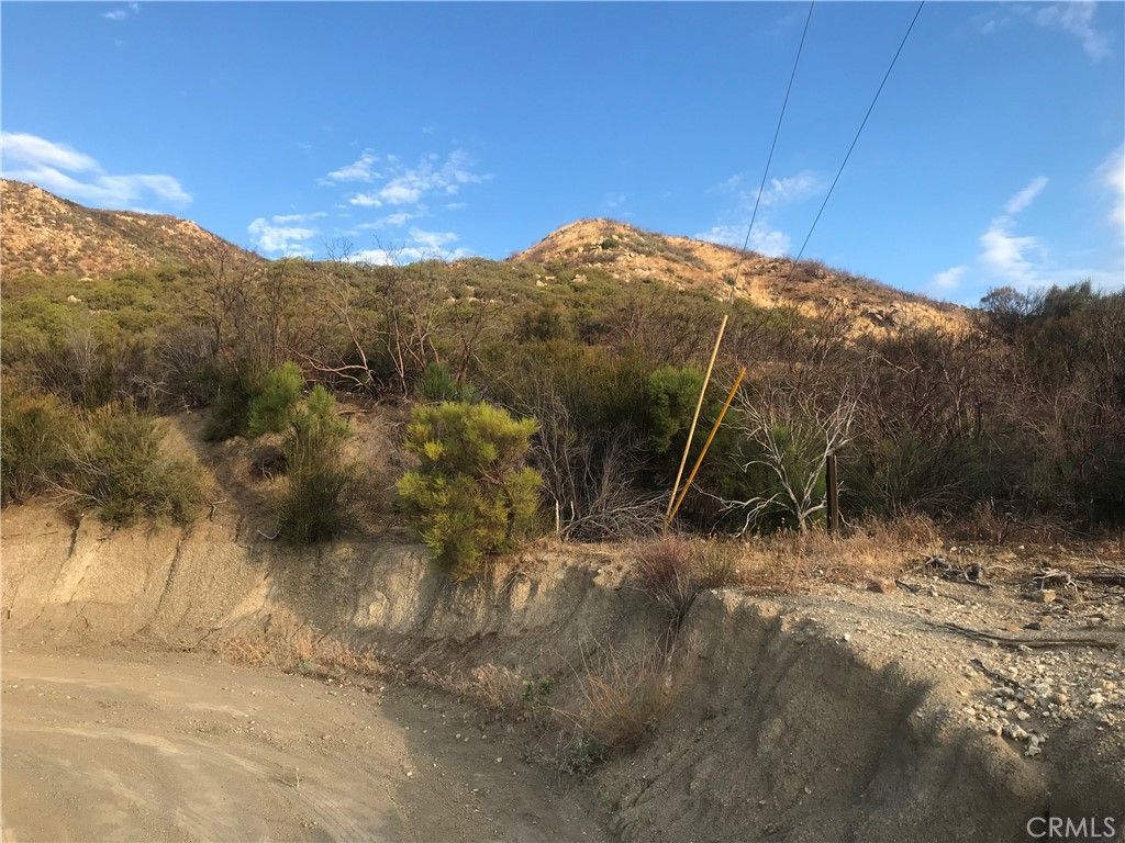 a view of a dry yard