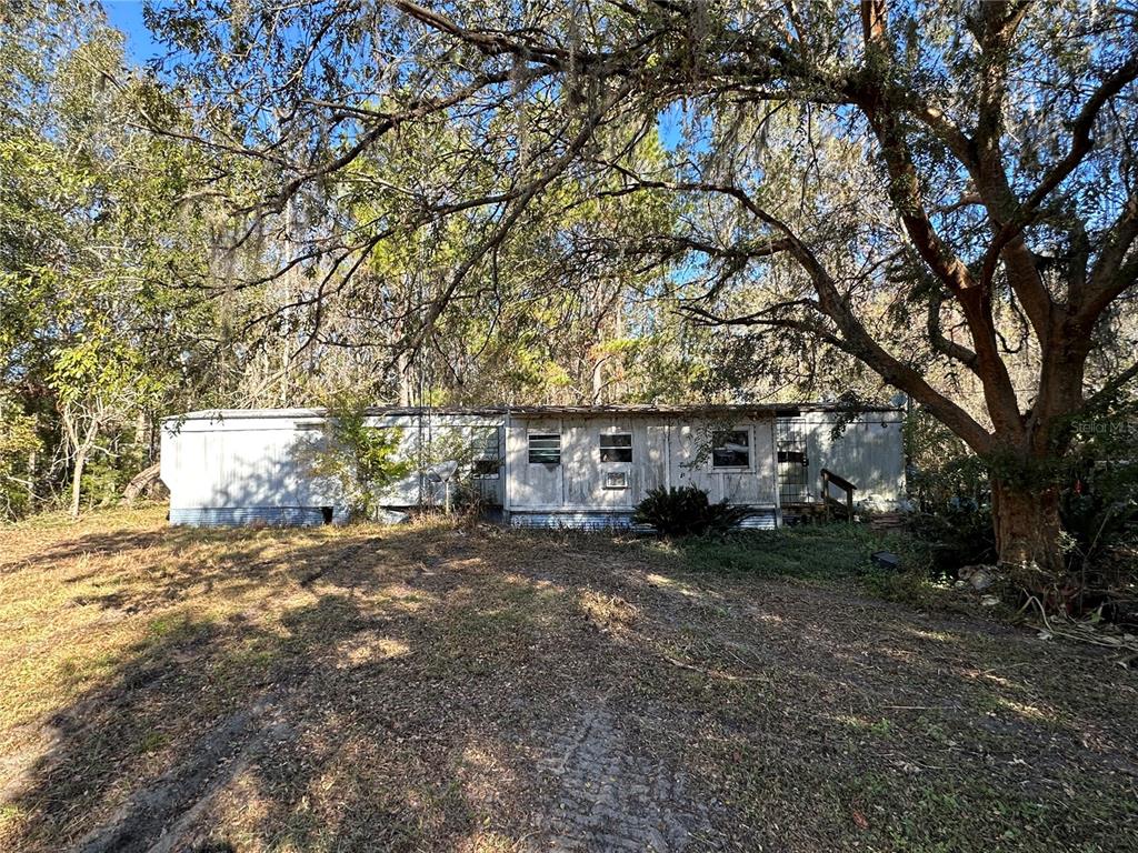 a view of a yard with a tree