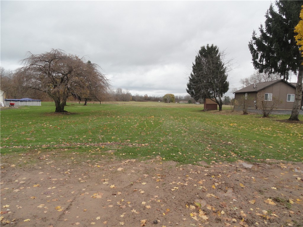 View from the road, about center of the lot.